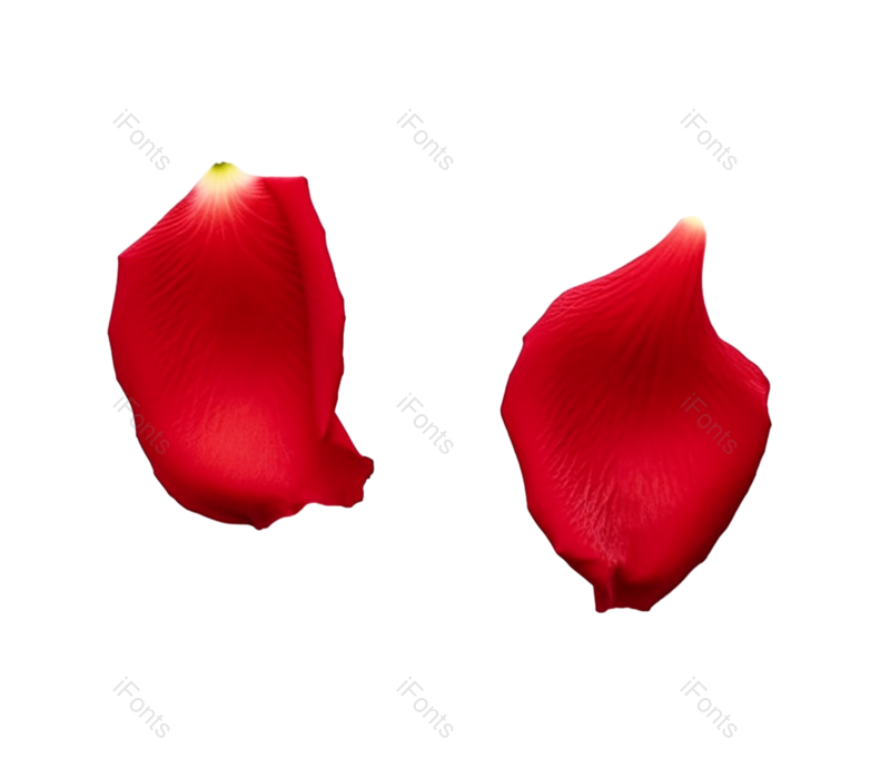 装饰图片,花瓣装饰元素,玫瑰花PNG,玫瑰免抠素材